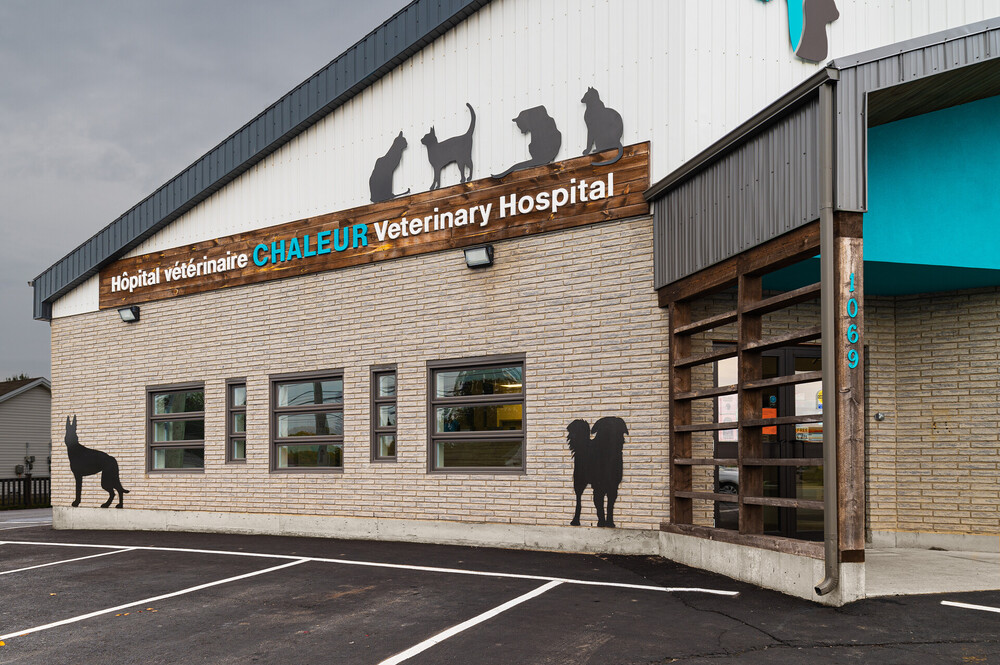 Chaleur Veterinary Hospital | Beresford, NB