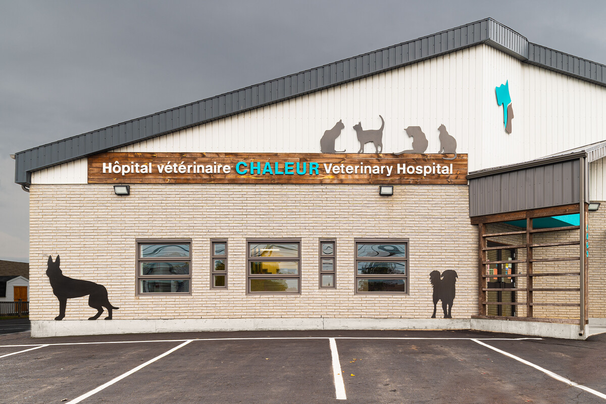 Chaleur Veterinary Hospital | Beresford, NB