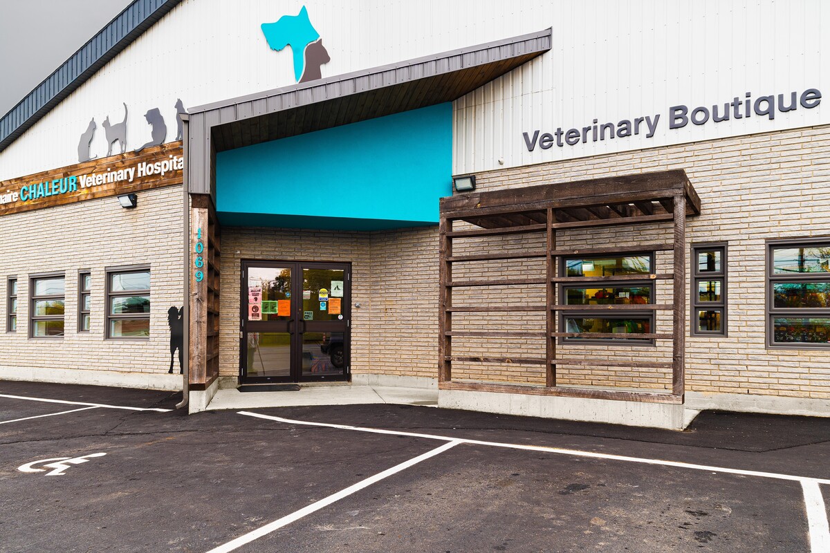 Chaleur Veterinary Hospital | Beresford, NB